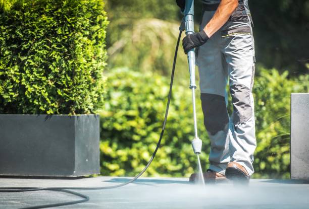 Best Solar Panel Cleaning  in Frankfort, MI
