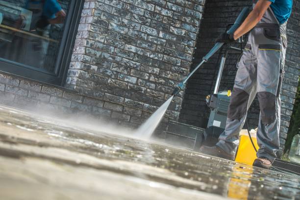 Best Animal Enclosure Cleaning  in Frankfort, MI