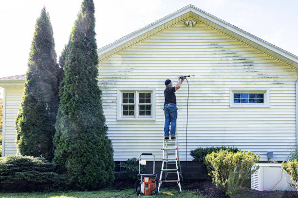 Animal Enclosure Cleaning in Frankfort, MI